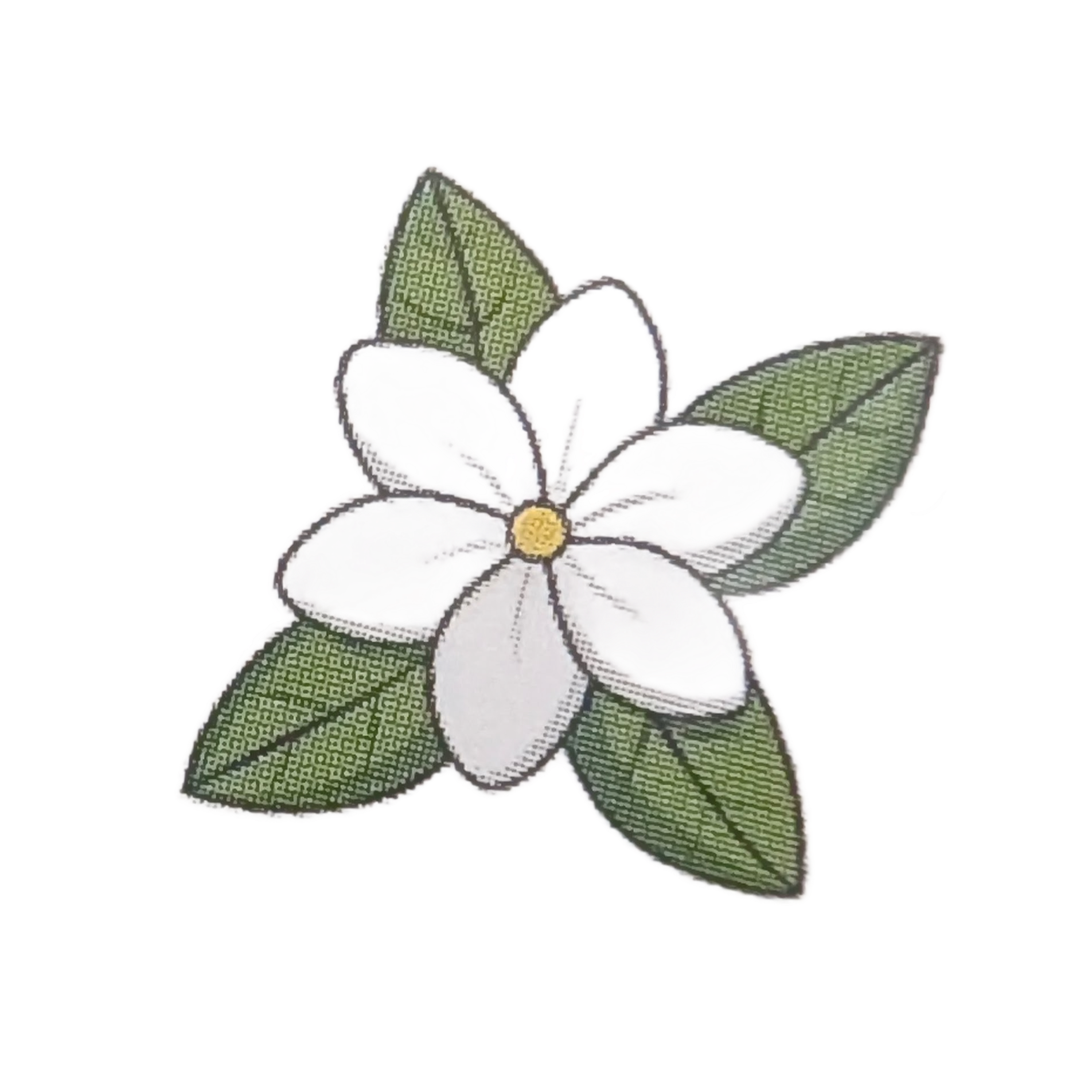 longhidev